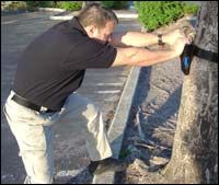 Tree Pull Test