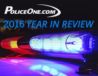 2016 in Review