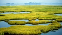 Top 3 Funding Sources for Watersheds & Wetlands Restoration