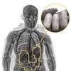 X-ray Security Solutions: Prisons and Correctional Facilities