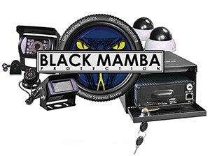 Black Mamba Protection Solution
