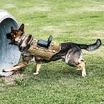 CORE K9 Camera