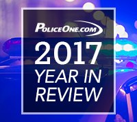 2017 in Review