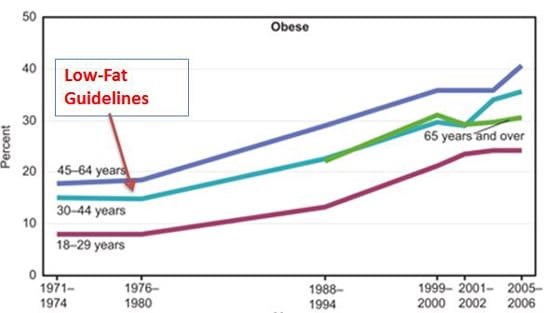 National Center for Health Statistics (US). Health, United States, 2008: With Special Feature on the Health of Young Adults. Hyattsville (MD): National Center for Health Statistics (US); 2009 Mar.