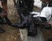 Chinese firefighters in oil spill