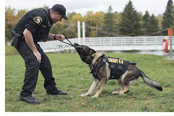 Armor Express also makes bulletproof vests for police dogs; they are the leading manufacturer of K-9 armor in the U.S.