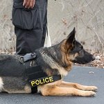 K-9 360 Body Worn Camera