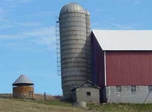 NIOSH photoConventional silo. This type of silo is distinguished by the round-domed top and the enclosed unloading chute seen on the right side of the silo, adjacent to the barn.