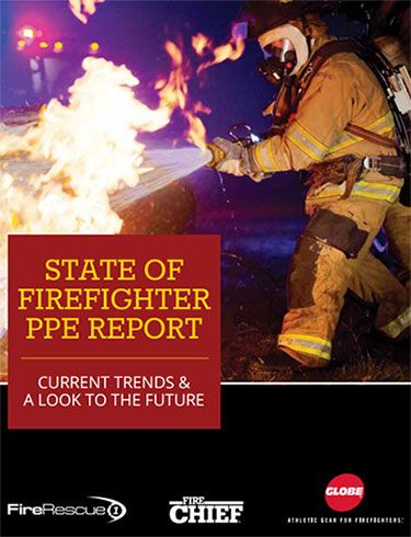 Download the 2015 State of PPE Report