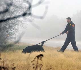 An officer from the Suffolk County Police Department's K-9 Unit uses a dog to search through the brush along the median of Ocean Parkway, near Oak Beach in Long Island, N.Y. A year ago, the first of 10 sets of human remains were found strewn in the thicket along the seven-mile stretch of highway. But as the anniversary of that first discovery occurs on Dec. 11, law enforcement appears no closer to catching the serial killer, or killers.