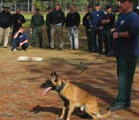 The failure to adequately train for canine work creates a heightened risk of trouble for all involved.