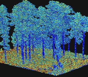 Output from processing of terrestrial laser scanning data, representing an important fuel characteristic “surface area” as illustrated by the different colors. This is input to next-generation fire behavior models.