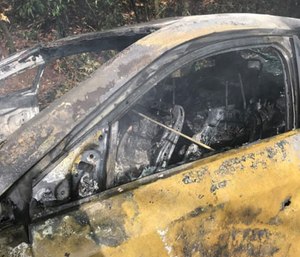 Janet Heggeman was trapped in her burning car after losing control and crashing into a tree, which fell on top of the vehicle. (Photo/York County Sheriff's Department)