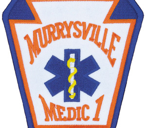 A Murrysville Medic One ambulance was struck in a hit-and-run on Friday, injuring one crewmember.