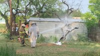 1 killed, 1 injured in 'very aggressive' bee attack, Texas fire officials say
