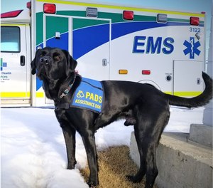 Delray, a 5-year-old black Labrador Retriever, will join his handler, Erica Olson, on stage at PACE 2019. Olson, an advanced care paramedic with Alberta Health Services EMS, is the program coordinator for Psychological Awareness and Wellness Support (PAWS), the first professional canine-facilitated peer support program for EMS providers in North America. (Photo/Courtesy of AHS EMS PAWS)