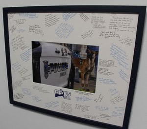 The bill was inspired by Sergeant Sean Gannon of New Bedford, who died in 2018 during a shooting at a crime scene. His K-9, Nero, was severely injured in the attack but survived.