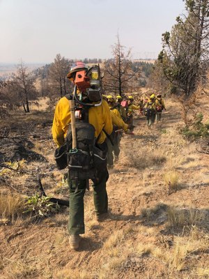 Florida Forest Service hand crew teams, in western states fighting wildfires, using shovels, hoes and other hand tools to cut fire line to protect homes and property.