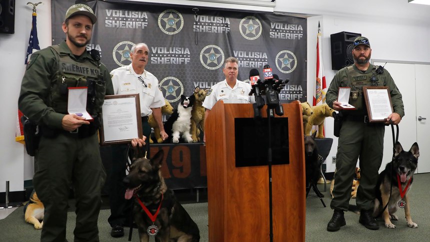 Volusia County Sheriff's Office K-9s Ax (left) and Endo (right) receive Medals of Honor from Irondog K9 International.