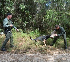 K9 Officer William Byrd (left) commands his police dog named Masco during a training exercise in Mobile, Ala. on Sept. 24, 2020. K9 Officer Justin Washam wears a bite sleeve for a bite demonstration.