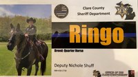 Mich. sheriff's deputy dies after on-duty fall from horse