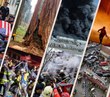 2022: The year in fire photos