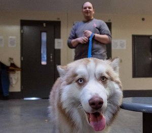 Idaho State Correctional Center inmate Matthew Stevens works with Bear in a common area outside the cells at the prison.