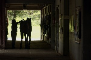 Hannah Serfass,15, died Sunday after the horse she was riding knocked her off and fell on her head.