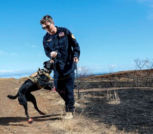 LA County Fire urban search and rescue crew member Nicholas Bartel tempts cadaver dog Six with a toy, usually used as a reward after a successful behavior, on Friday, Aug. 18, 2023.