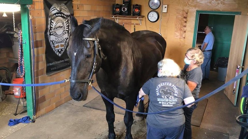 Mounted police workers attend to Valor, a police horse with the Manchester, New Hampshire, Police Department.