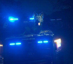 K-9 Fedor