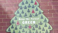 Photo of the Week: Keep the Forest Green