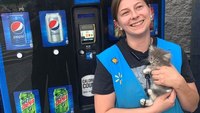 Tenn. crew frees kitten from Walmart soda machine, suggests 'Pepsi' for a name