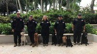 Four-legged team members critical in disaster deployment