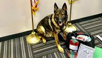 K-9 gets to stay with transferring Ohio police officer after outcry from residents