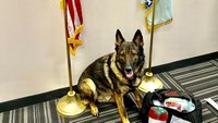 Ohio PD settles lawsuit for $30K with former officer over K-9 dispute