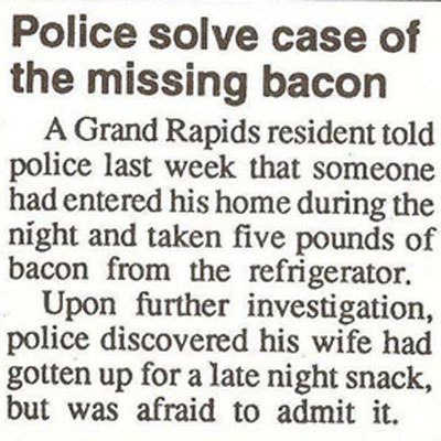 20 crazy funny police reports