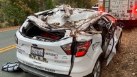 Tree falls on Calif. sheriff's office vehicle, injuring retired volunteers inside