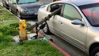 Calif. fire dept. defends viral photo of hose through car window