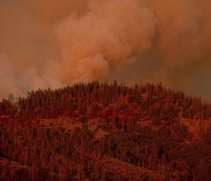 A California forest fire just west of Yosemite National Park was steadily growing Saturday after two more firefighters were injured while battling the flames in blazing summer heat.