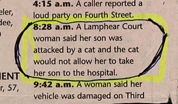 20 crazy funny police reports