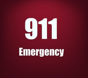With the growing use of smart phones, fingerprint and voice recognition software, and advanced mapping and geolocation applications, the future is expansive for the 911 system as a whole.