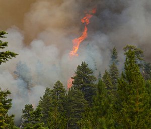 The blaze burned nearly 30 square miles of forest land. (Photo/AP)