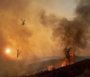 Education can help the public to understand the implications of foolish acts that can start major fires and refrain from such activities.