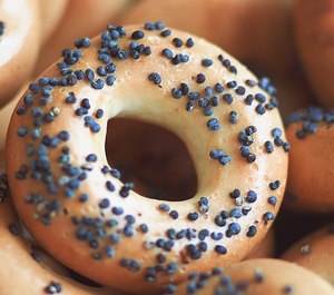 The officer tested above the DOC's legal limit for morphine in 2016 after eating a poppy seed bagel before a drug test. (Photo/Stas Ovsky/Wikimedia)
