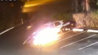 Video: Man sets fire to police car in Fla. synagogue parking lot