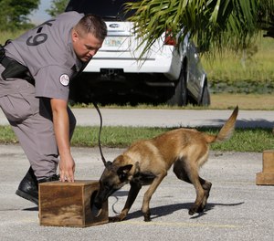 K-9 Inspector Freddie Long works with the dog Razor as he searches for cell phones hidden in a box during a demonstration at the Broward Correctional Institution in Ft. Lauderdale, Fla.