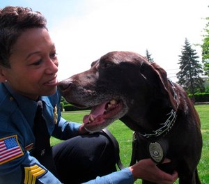In this May 23, 2018, photo, Sgt. Tracy Stuart, of the Stockton University Police Department in New Jersey, plays with her police dog, Hemi, who won a national competition among explosive-sniffing dogs, in Galloway, N.J. (AP Photo/Wayne Parry)