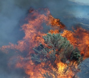 In this Aug. 5, 2015 file photo, fire engulfs sagebrush near Roosevelt, Wash. Federal officials have released a plan intended to reduce the size of giant rangeland wildfires that have become an increasing problem in the Great Basin for cattle ranchers, recreationists and some 350 species of wildlife, including imperiled sage grouse. (AP Photo/Don Ryan, File)(Photo/ AP)