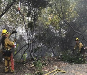 Cal Fire firefighters cut down potential fuel for the Briceburg Fire off Highway 140, south of the Merced River in Mariposa County, Calif. (Vikaas Shanker/The Merced Sun-Star via AP)